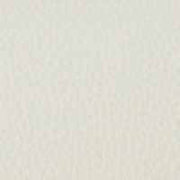 POLAR 284