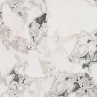 Oyster White