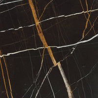 Sahara Noir