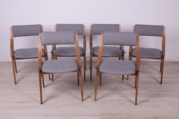 Polish Ski Jumper Chairs from Zamojska, 1970s, Set of 6-NIT-1138206