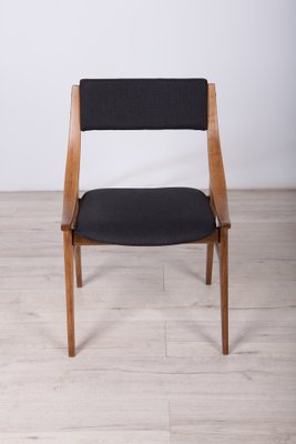 Polish Ski Jumper Chairs from Zamojska, 1970s, Set of 6-NIT-1118569