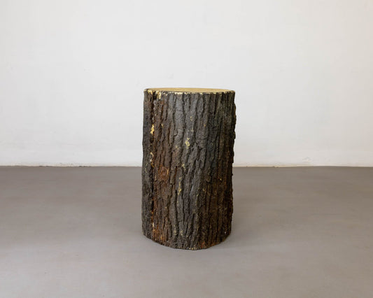 Polyurethane Foam Tree Trunk by Piero Gilardi