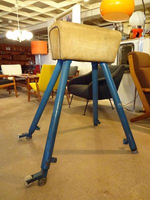 Pommel Horse from Germina, 1960s-RDW-561711