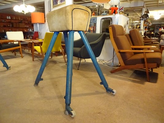 Pommel Horse from Germina, 1960s-RDW-561711