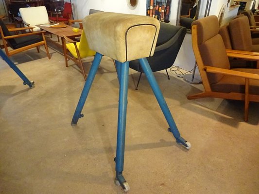 Pommel Horse from Germina, 1960s-RDW-561711