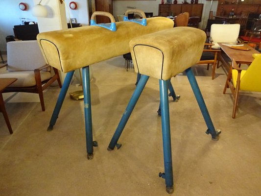 Pommel Horse from Germina, 1960s-RDW-561711