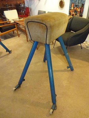 Pommel Horse from Germina, 1960s-RDW-561711