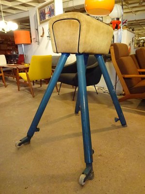 Pommel Horse from Germina, 1960s-RDW-561711