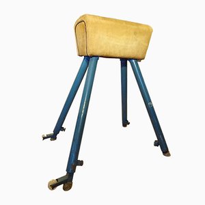 Pommel Horse from Germina, 1960s-RDW-561711