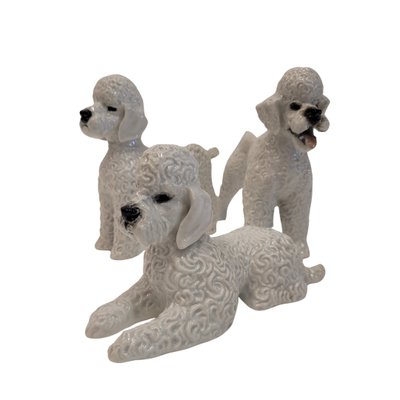 Poodle Figures in Porcelain by Fritz Heidenreich for Rosenthal, Germany, 1940s, Set of 3-NUC-2033213