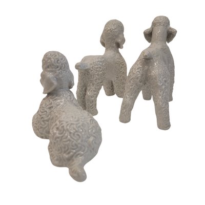 Poodle Figures in Porcelain by Fritz Heidenreich for Rosenthal, Germany, 1940s, Set of 3-NUC-2033213