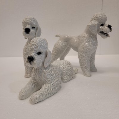 Poodle Figures in Porcelain by Fritz Heidenreich for Rosenthal, Germany, 1940s, Set of 3-NUC-2033213