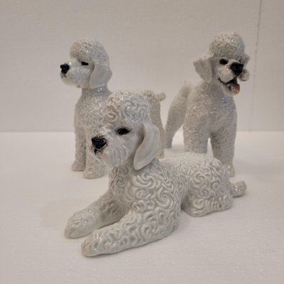 Poodle Figures in Porcelain by Fritz Heidenreich for Rosenthal, Germany, 1940s, Set of 3-NUC-2033213