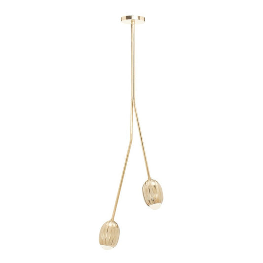 Poppy Polished Brass 2 Stem V Chandelier by Fred and Juul