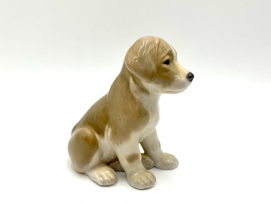 Porcelain Figurine of a Bernardine Puppy from Bing & Grondahl, Denmark-BXB-1191210