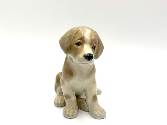 Porcelain Figurine of a Bernardine Puppy from Bing & Grondahl, Denmark-BXB-1191210