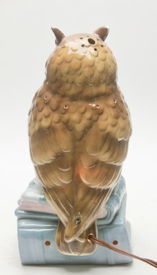 Porcelain Owl Air Purifier or Table Lamp, 1930-MJY-1149034