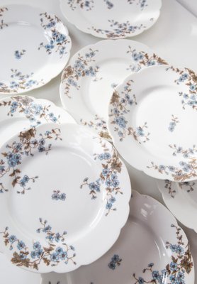 Porcelain Plates by E. Gallée, Paris, France, 1900s, Set of 8-JWI-1783502