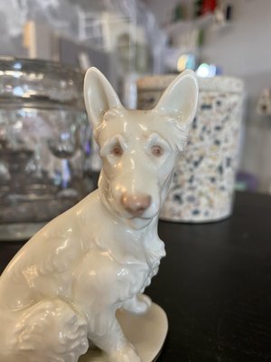 Porcelain Scotch Terrier Figure from Rosenthal-JO-1100131