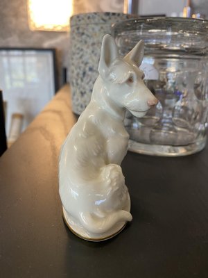 Porcelain Scotch Terrier Figure from Rosenthal-JO-1100131