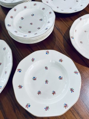 Porcelain Tableware from Sarreguemines, France, 1960s, Set of 48-HDF-1720914