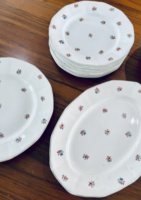 Porcelain Tableware from Sarreguemines, France, 1960s, Set of 48-HDF-1720914