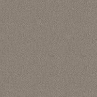 B77-019