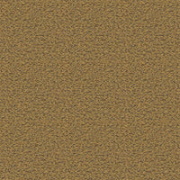 C40-007