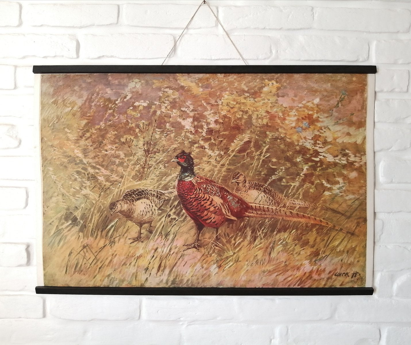 Poster of Pheasant, 1950s