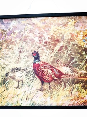 Poster of Pheasant, 1950s-ALG-1072863