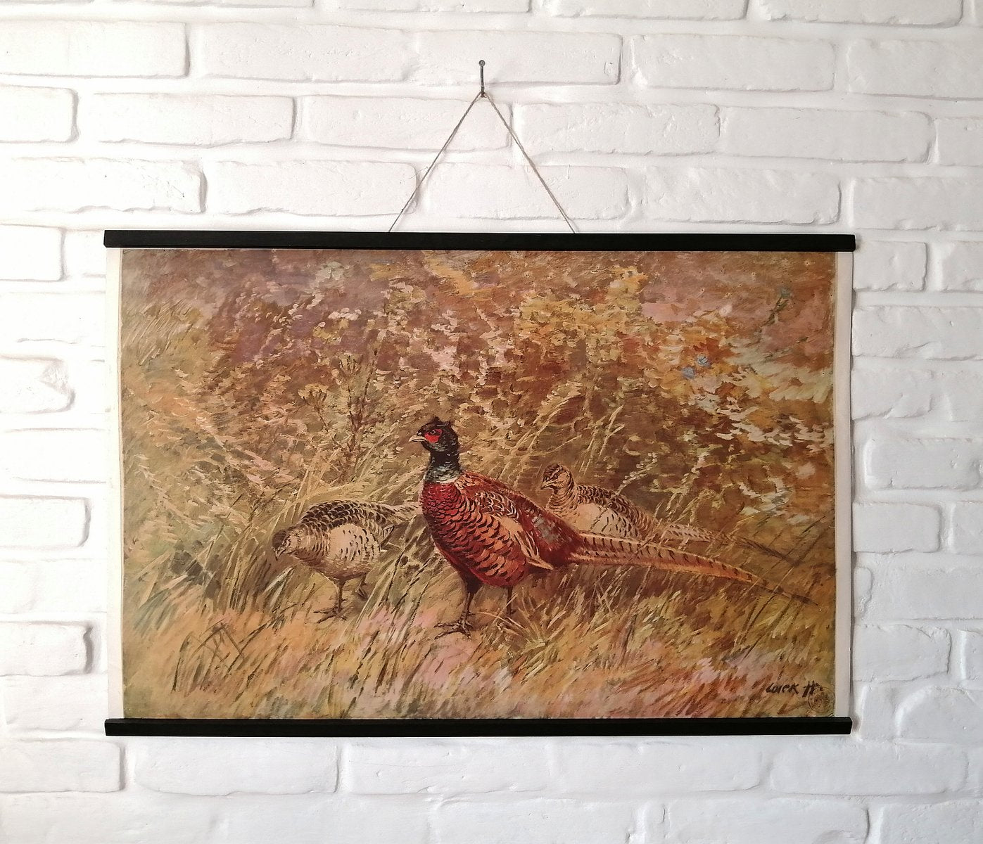 Poster of Pheasant, 1950s