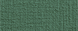 027-agave