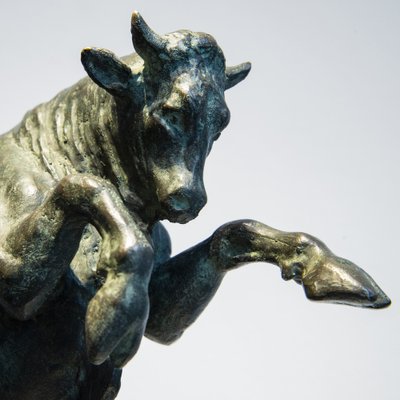 Prancing Bull by Michelangelo Monti-XSC-967899