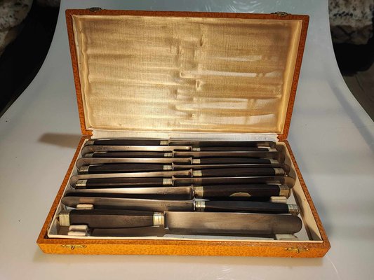 Pre-War Licot Namur Plates and Knives in Case, Set of 10-CAQ-1780000