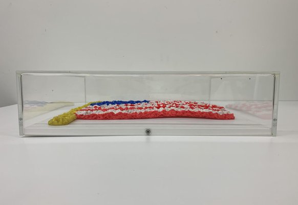 Pride Flag of the United States in Lucite by Jan Henderikse, 2018-BGP-848698