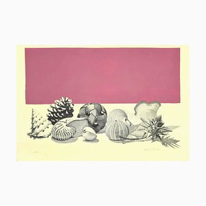 Raffaello Piraino, Still Life, Lithograph, 1970s-ZCI-827778