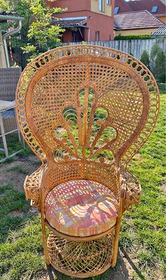 Rattan Peacock Chair, 1970s-OXJ-1293463