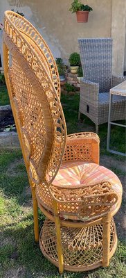 Rattan Peacock Chair, 1970s-OXJ-1293463