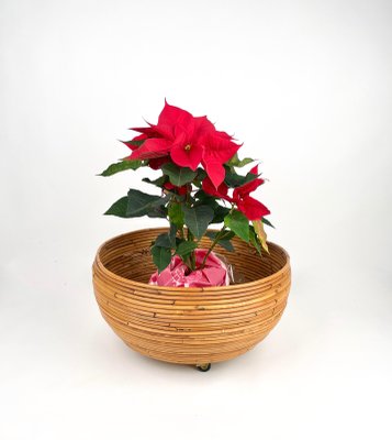 Rattan Round Flower Stand Plant Holder, Italy, 1960s-LYQ-1171234