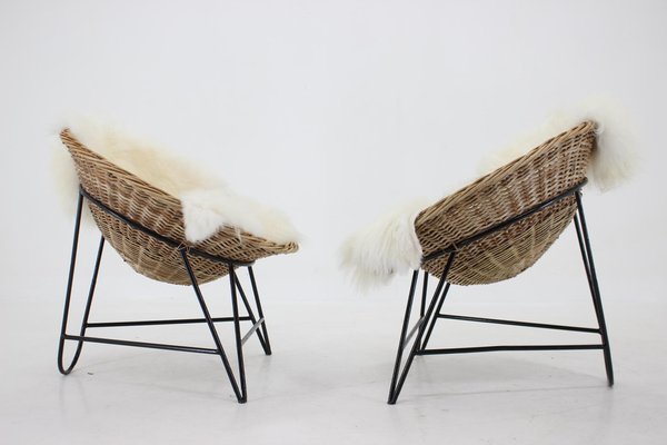 Rattan Woven Basket Chair with Icelandic Sheepskin, 1960s, Set of 2-TZ-1313410