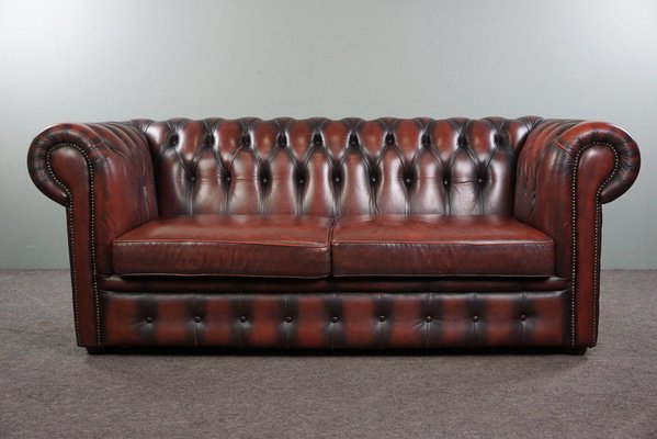 Red Cattle Chesterfield Sofa-HPP-1764183