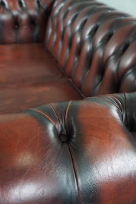 Red Cattle Chesterfield Sofa-HPP-1764183