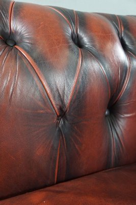 Red Cattle Chesterfield Sofa-HPP-1764183