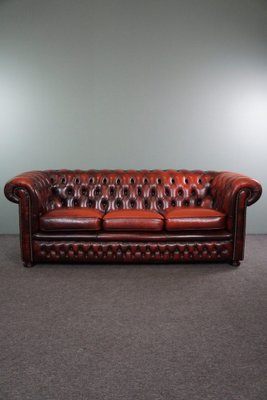 Red Cattle Chesterfield Sofa-HPP-1717805