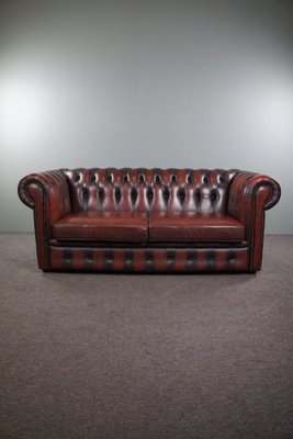 Red Cattle Chesterfield Sofa-HPP-1764183