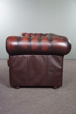 Red Cattle Chesterfield Sofa-HPP-1764183