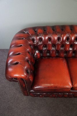 Red Cattle Chesterfield Sofa-HPP-1717805