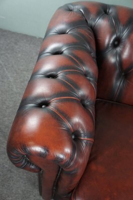 Red Cattle Chesterfield Sofa-HPP-1764183