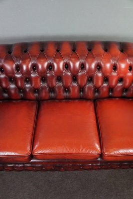 Red Cattle Chesterfield Sofa-HPP-1717805