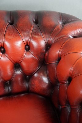 Red Cattle Chesterfield Sofa-HPP-1717805